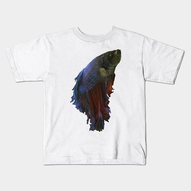 Betta fish Kids T-Shirt by xaxuokxenx